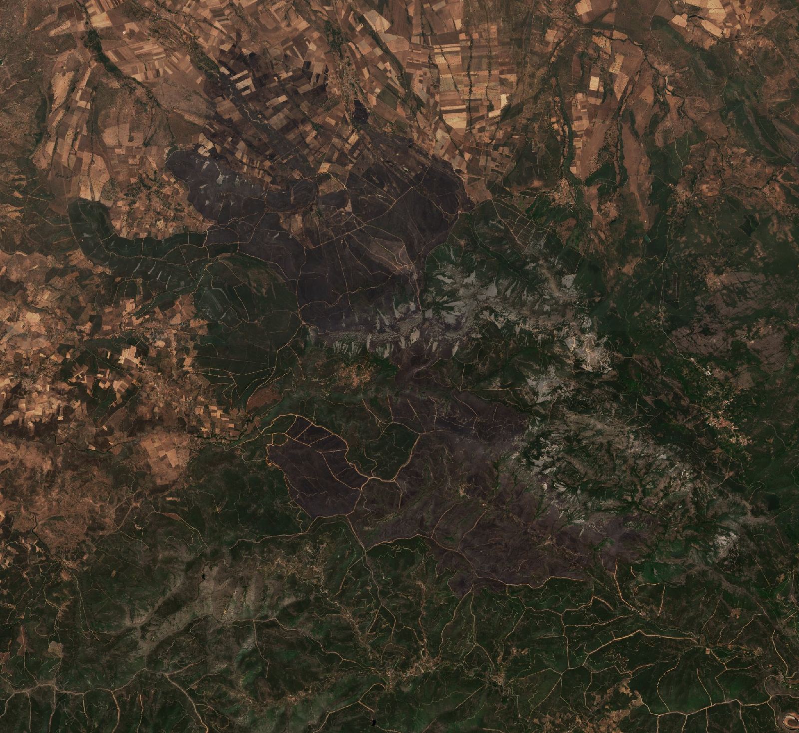 The area after the fire, July 20, 2022