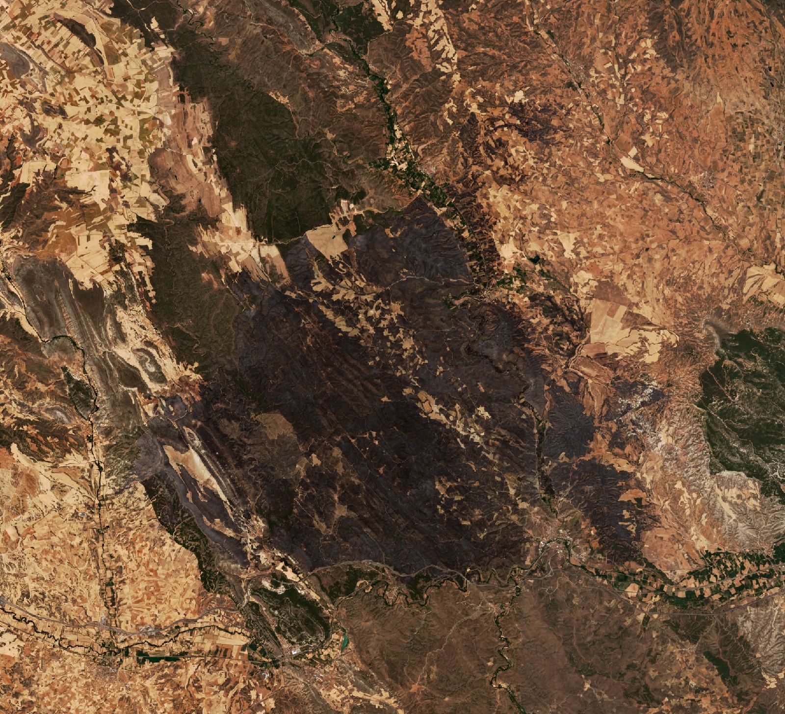 The area after the fire, July 27, 2022