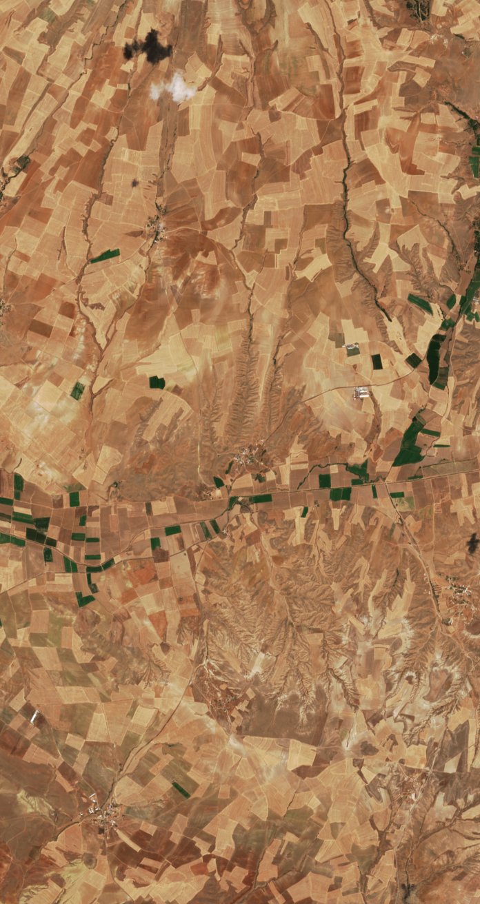 Sentinel-2 images