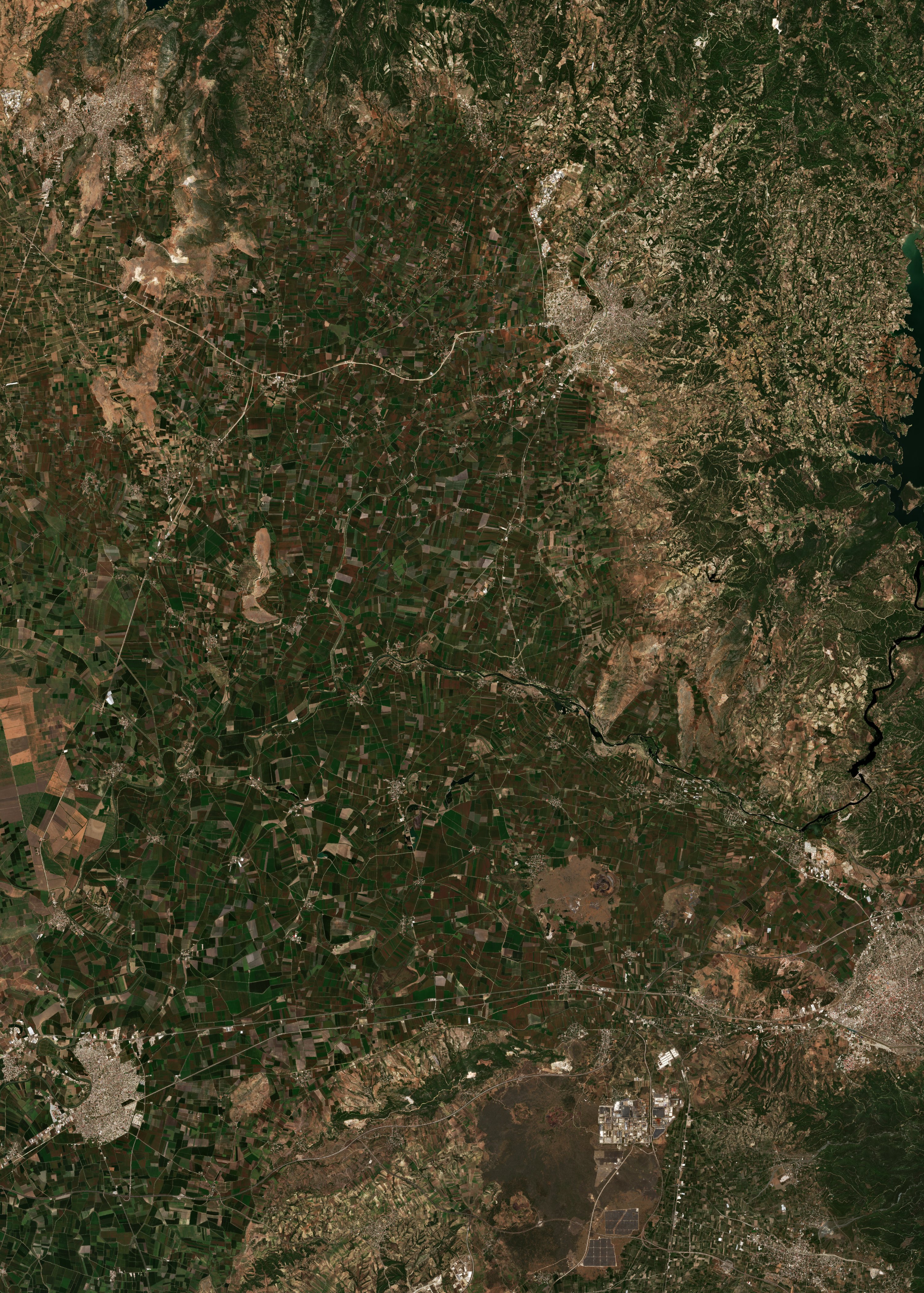 Sentinel-2 images