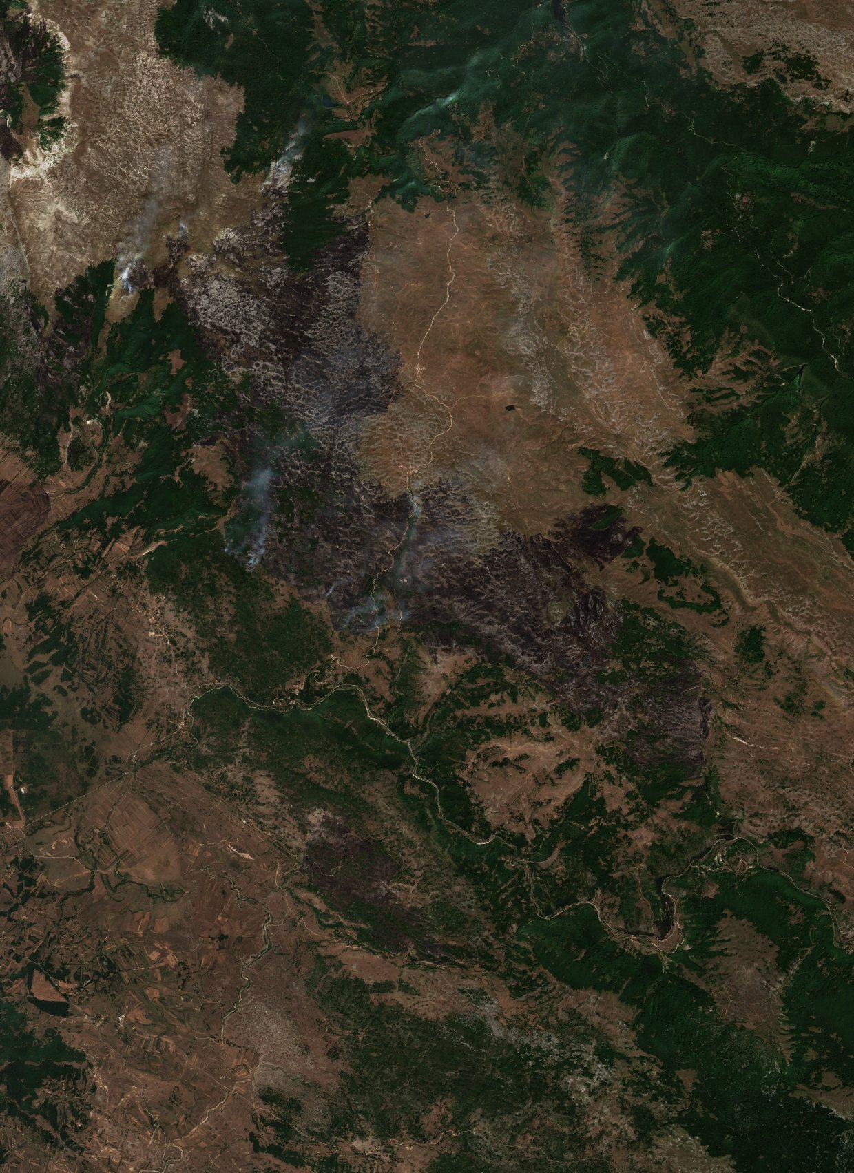 The area after the fire, August 21, 2026