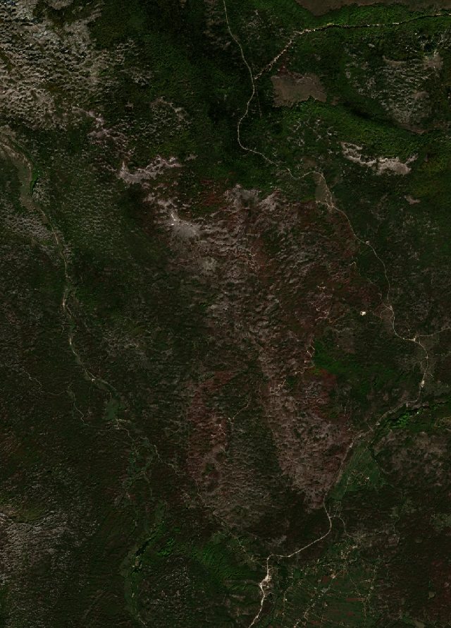 Burned area near Nikšić from space