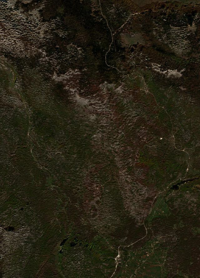 Burned area near Nikšić from space
