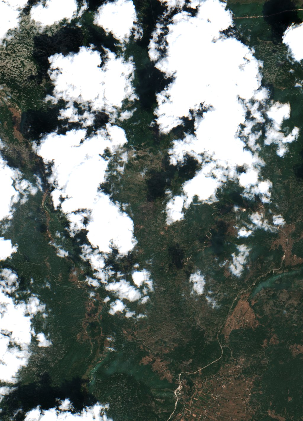 Sentinel-2 images