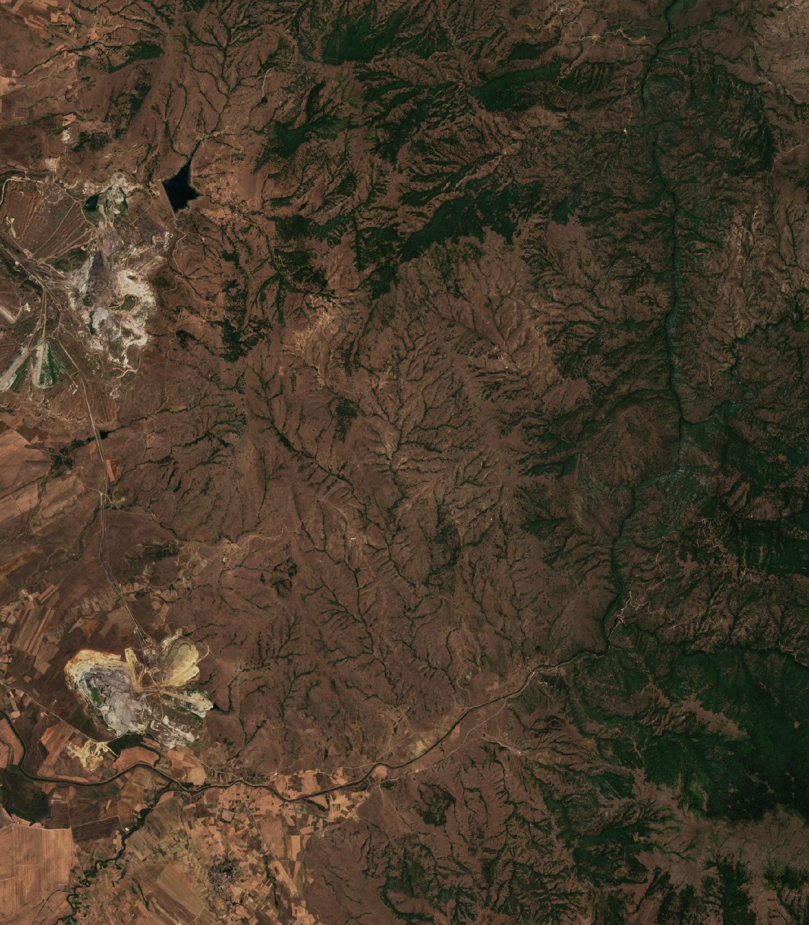 The area before the fire, August 8, 2024