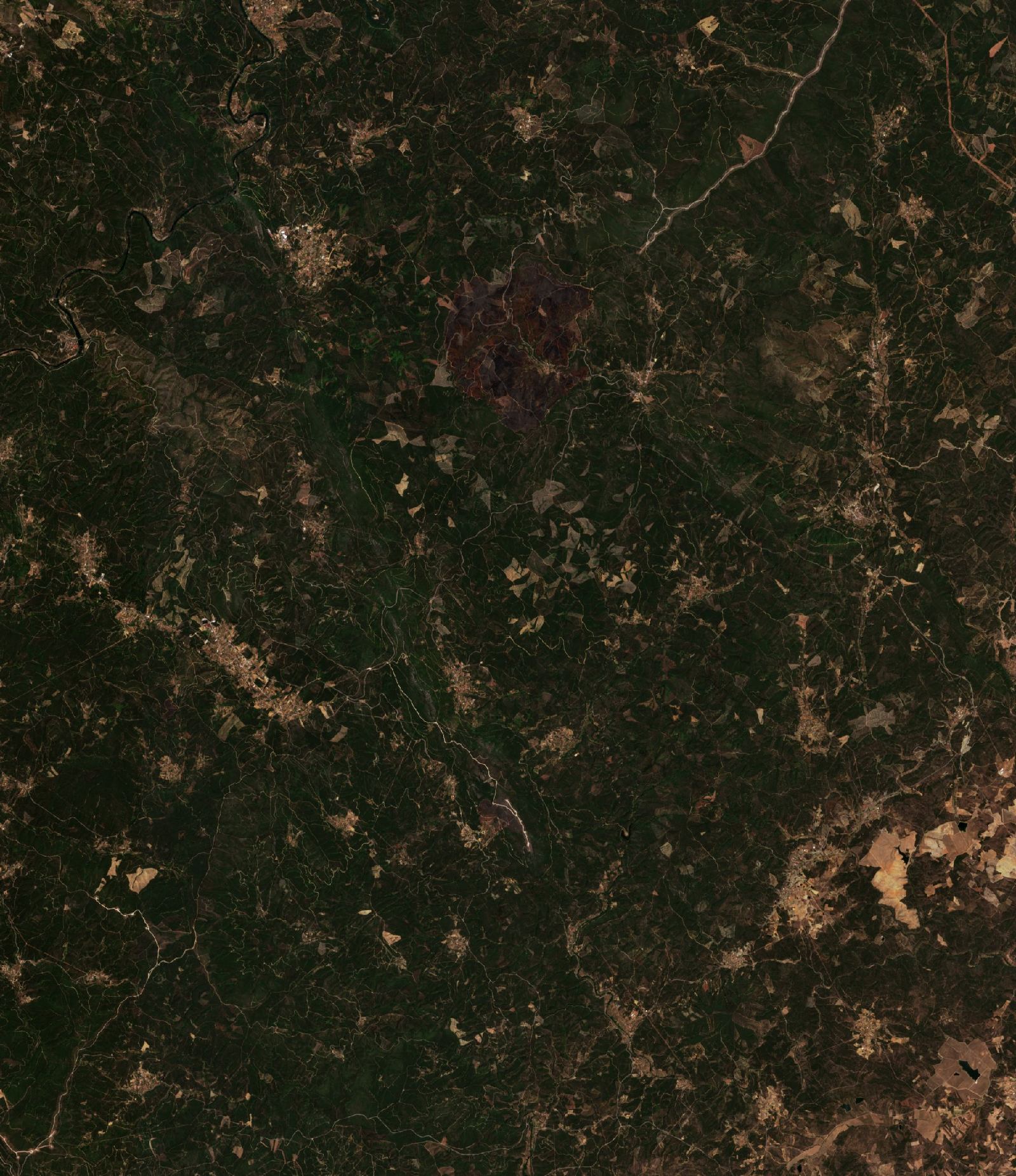 The area before the fire, August 8, 2017