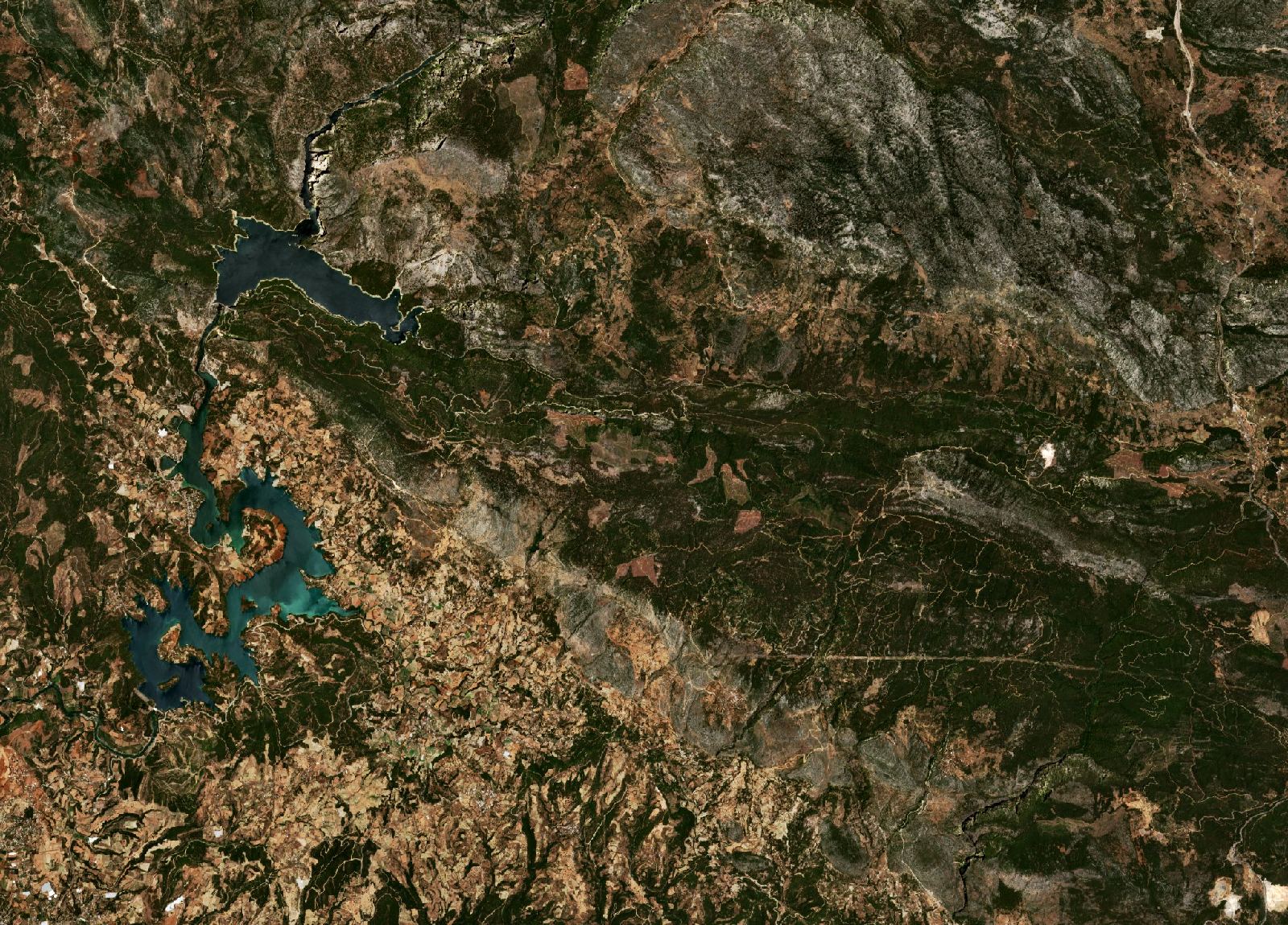 The area before the fire, July 15, 2021