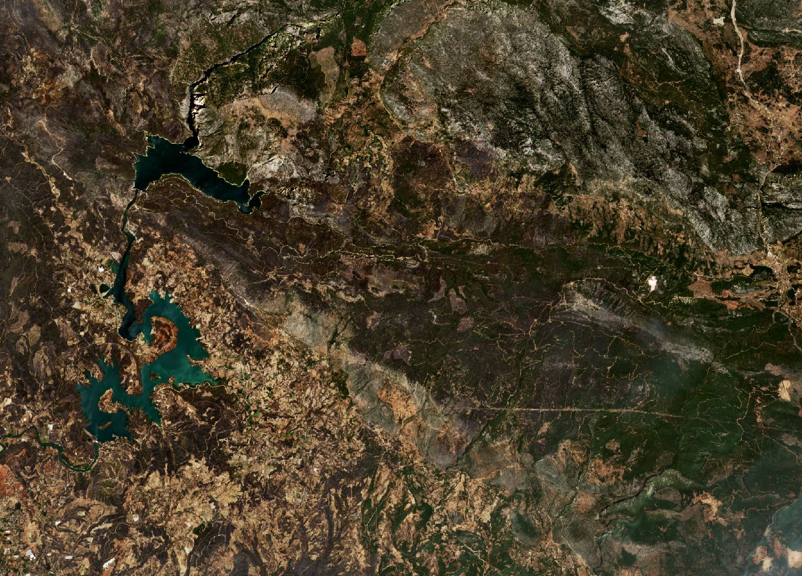 The area after the fire, August 4, 2021