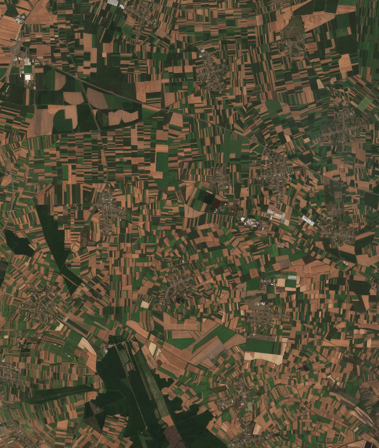 Sentinel-2 images