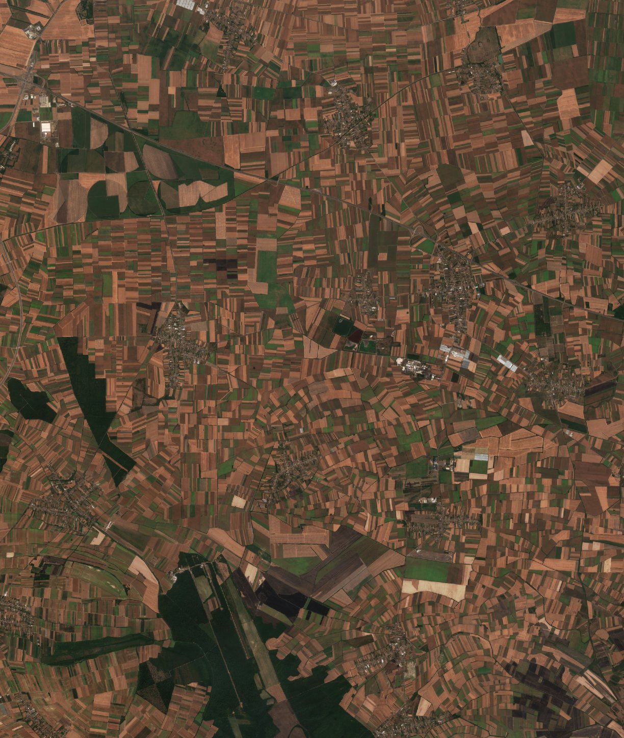 The area before the fire, August 11, 2026