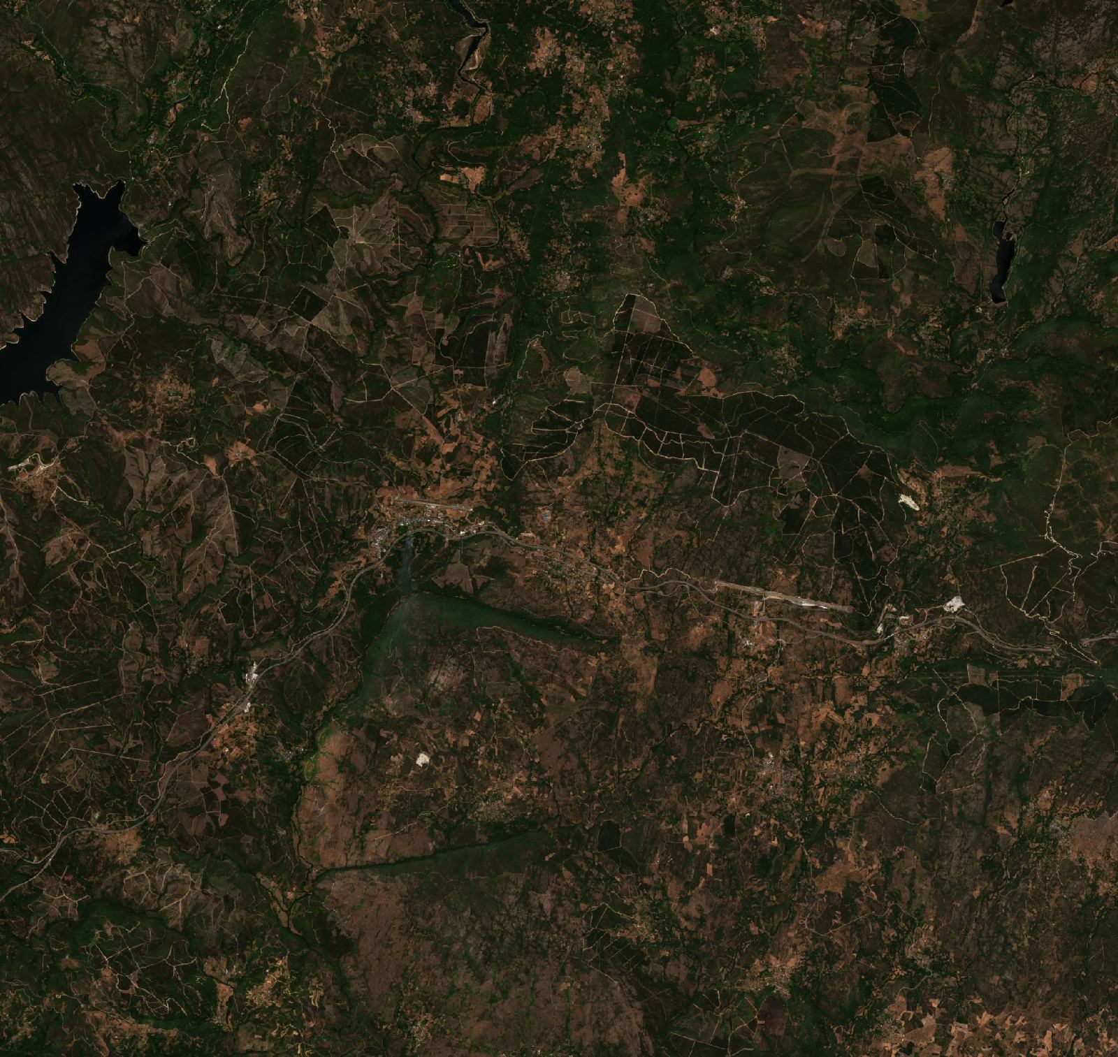 The area before the fire, August 1, 2025