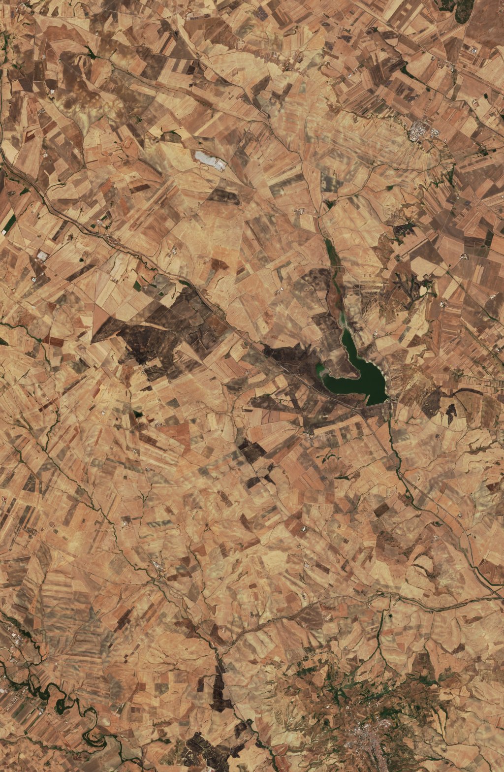 The area after the fire, August 21, 2026