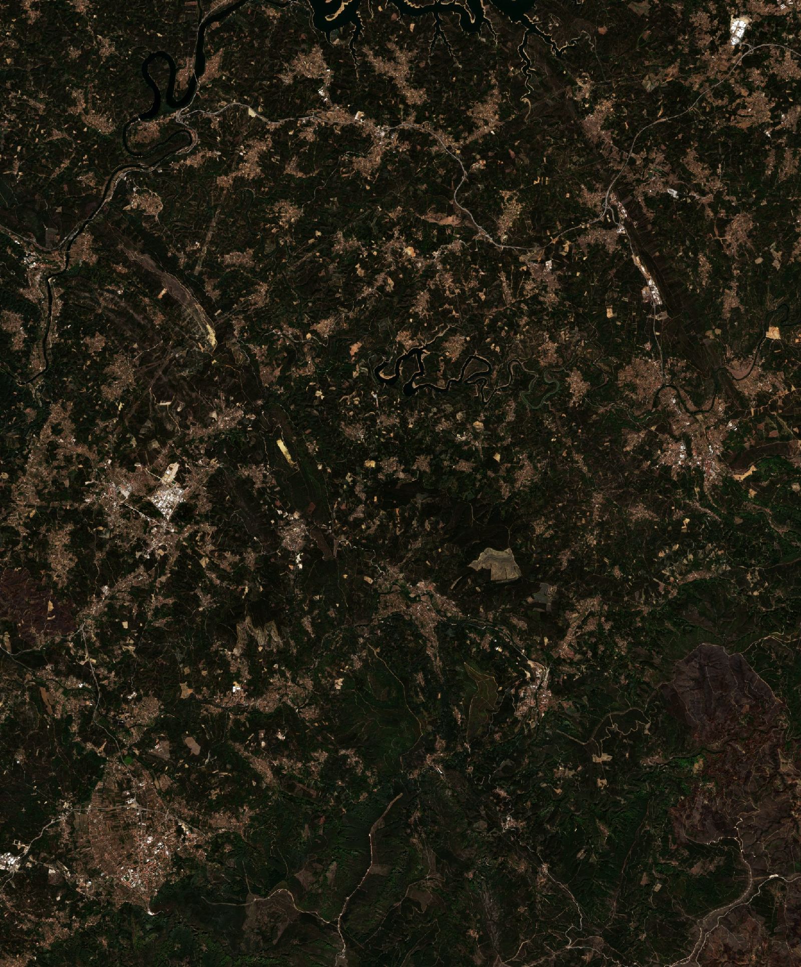 Sentinel-2 images
