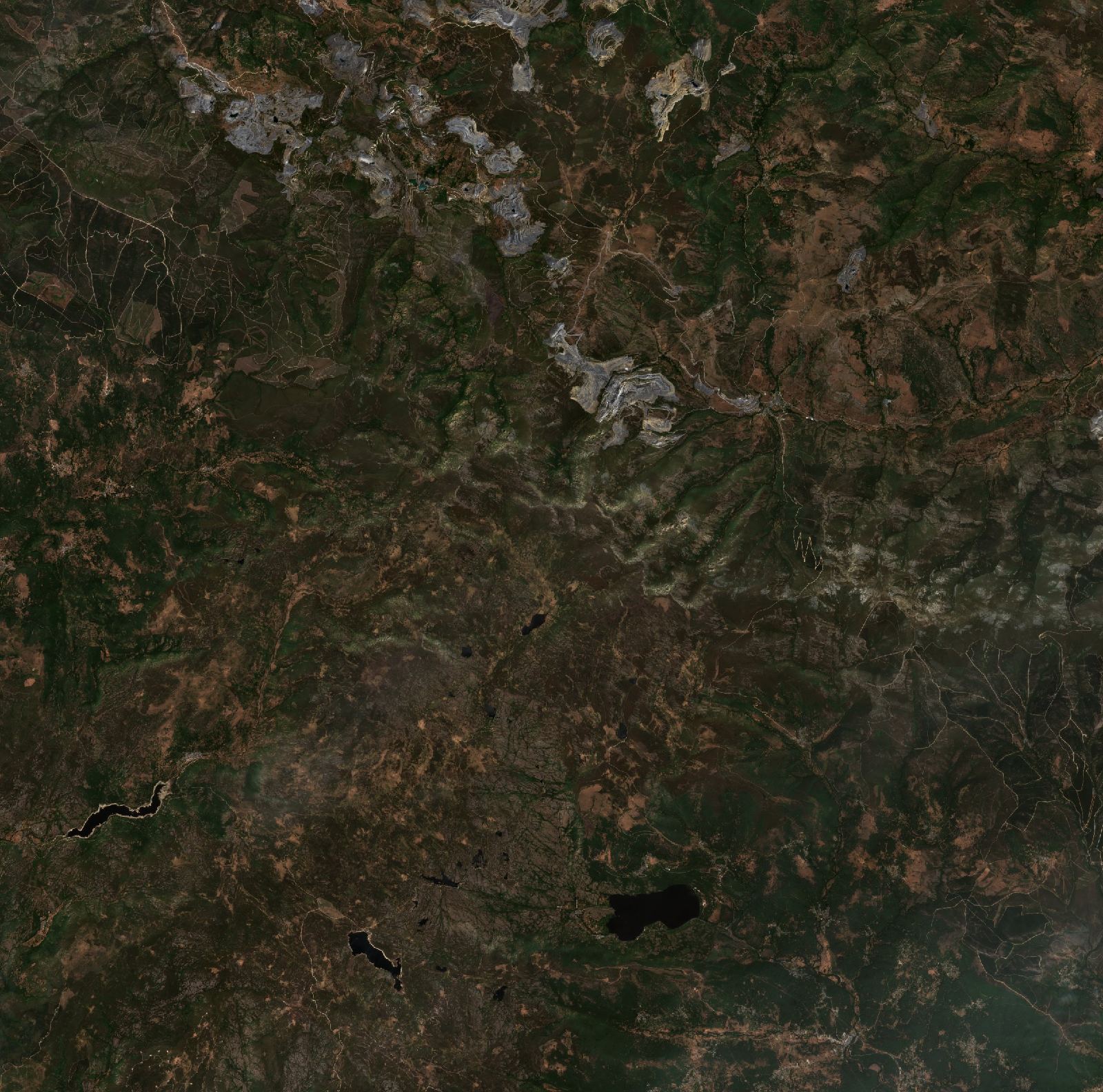 Sentinel-2 images