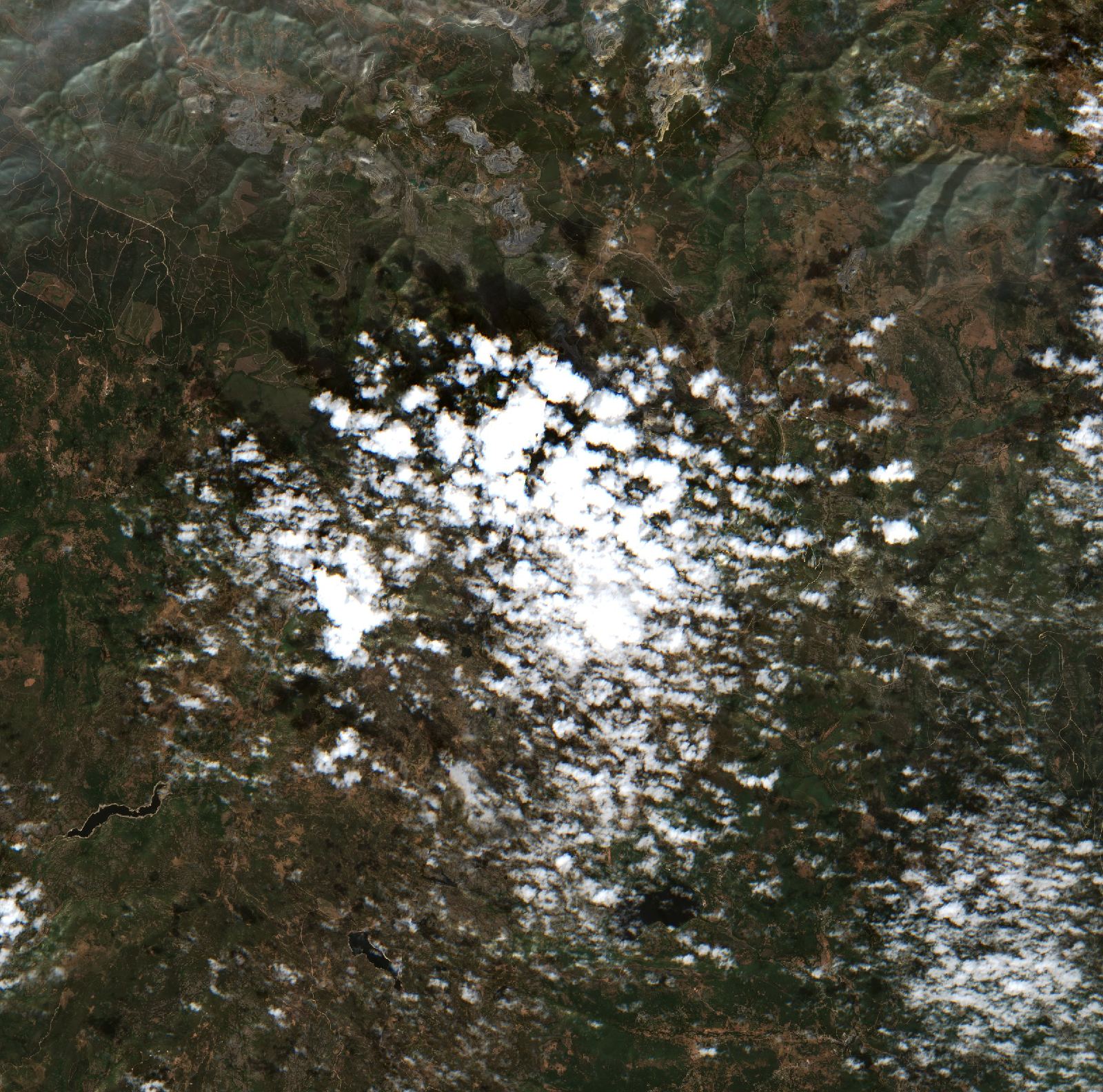 The area before the fire, August 11, 2025