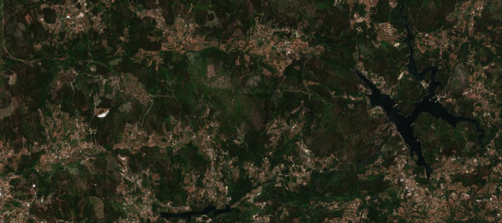 The area before the fire, July 29, 2026