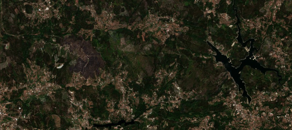 The area after the fire, August 21, 2026
