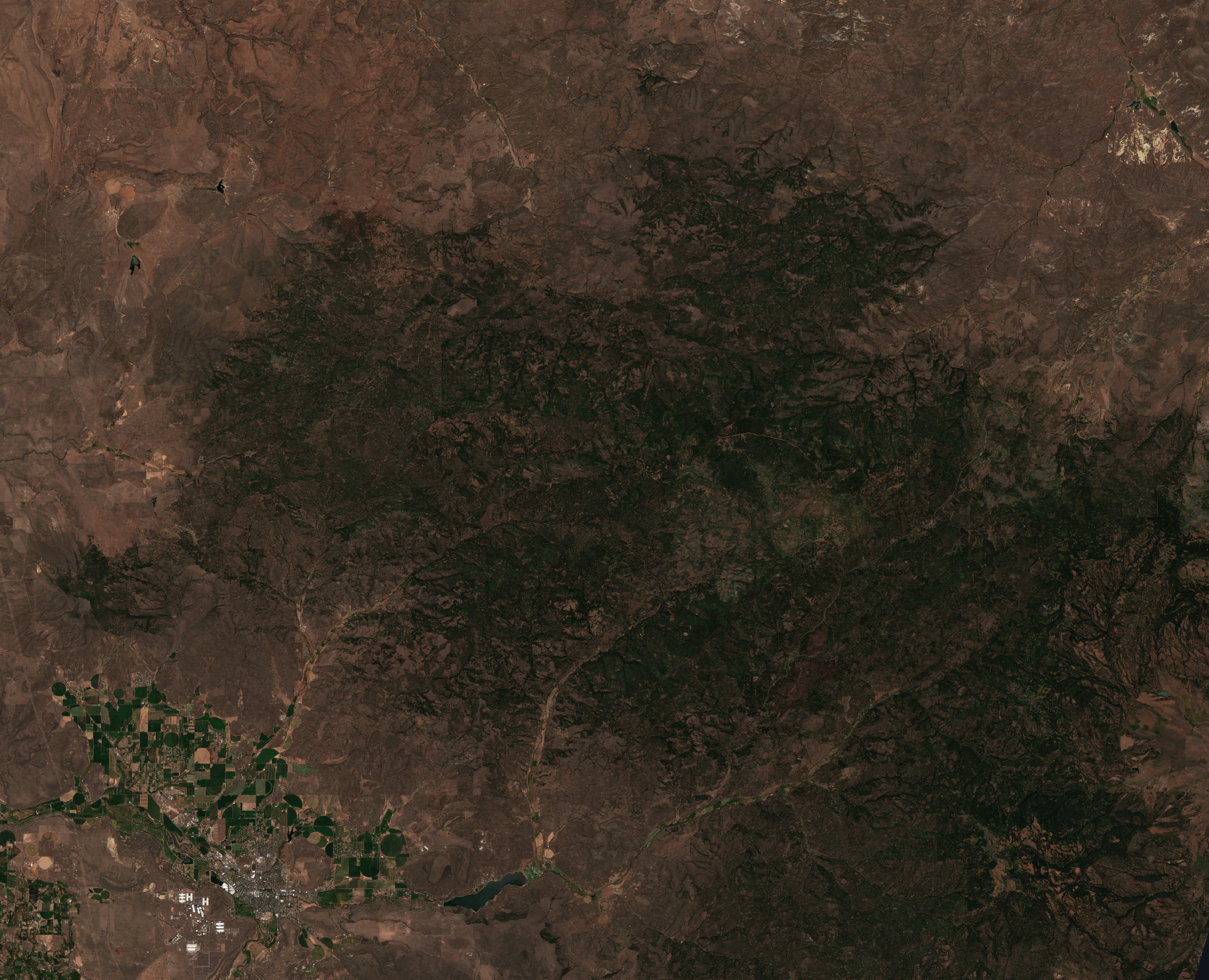 The area before the fire, July 10, 2026
