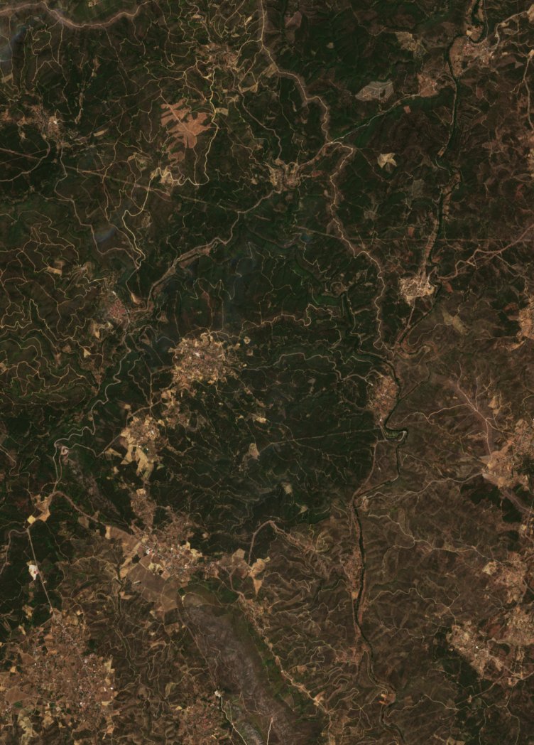 Sentinel-2 images