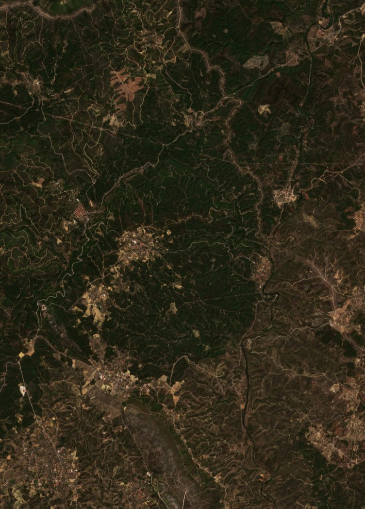 The area before the fire, September 7, 2026