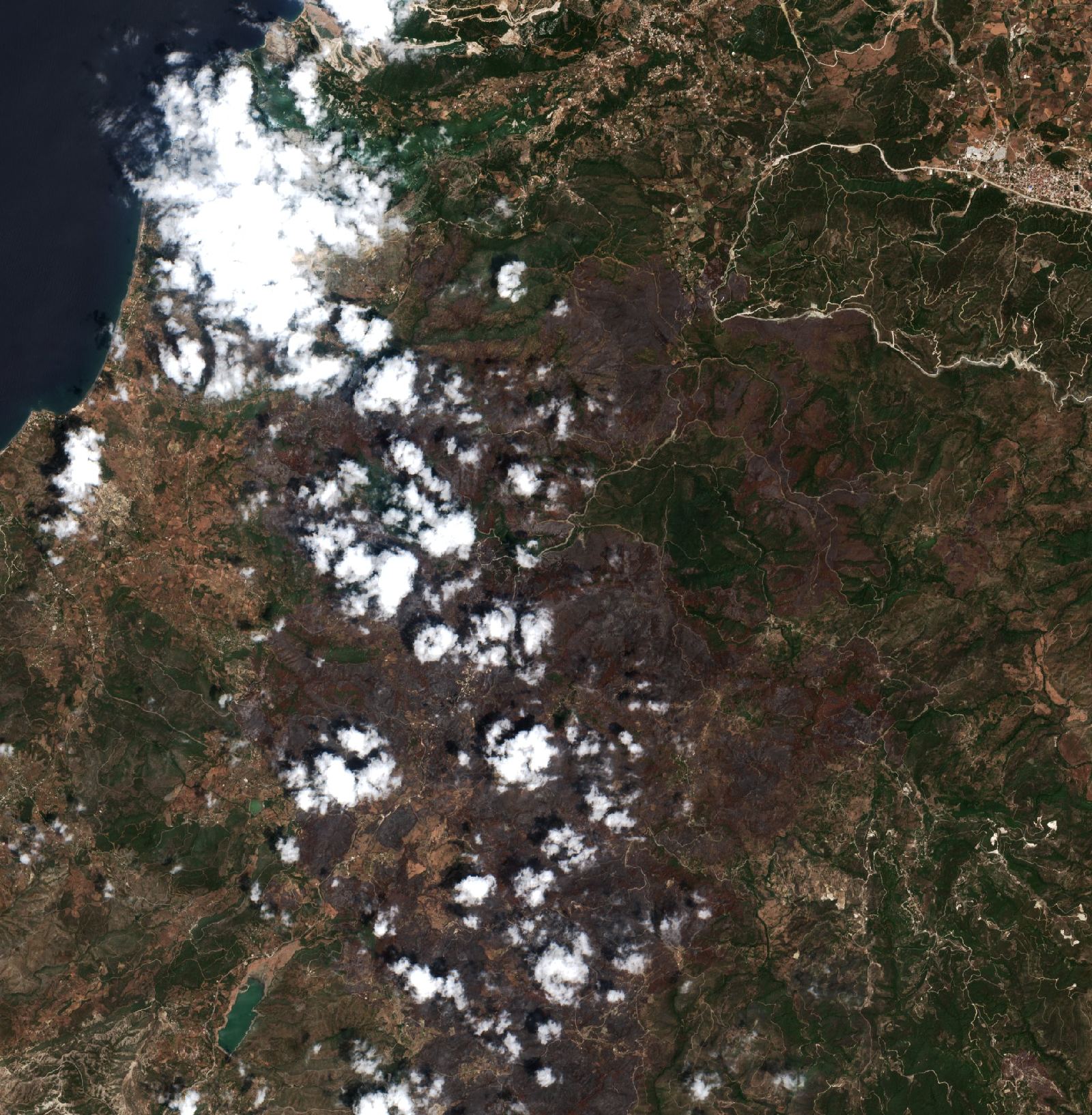 The area after the fire, July 23, 2025