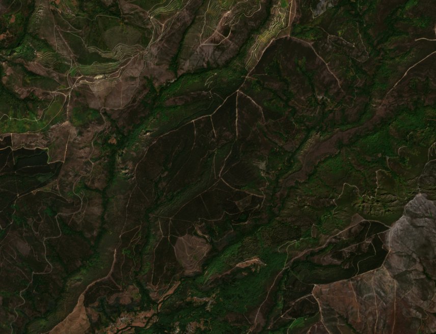 Sentinel-2 images