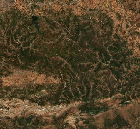 Satellite view near ’Aïn el Hammam, Algeria