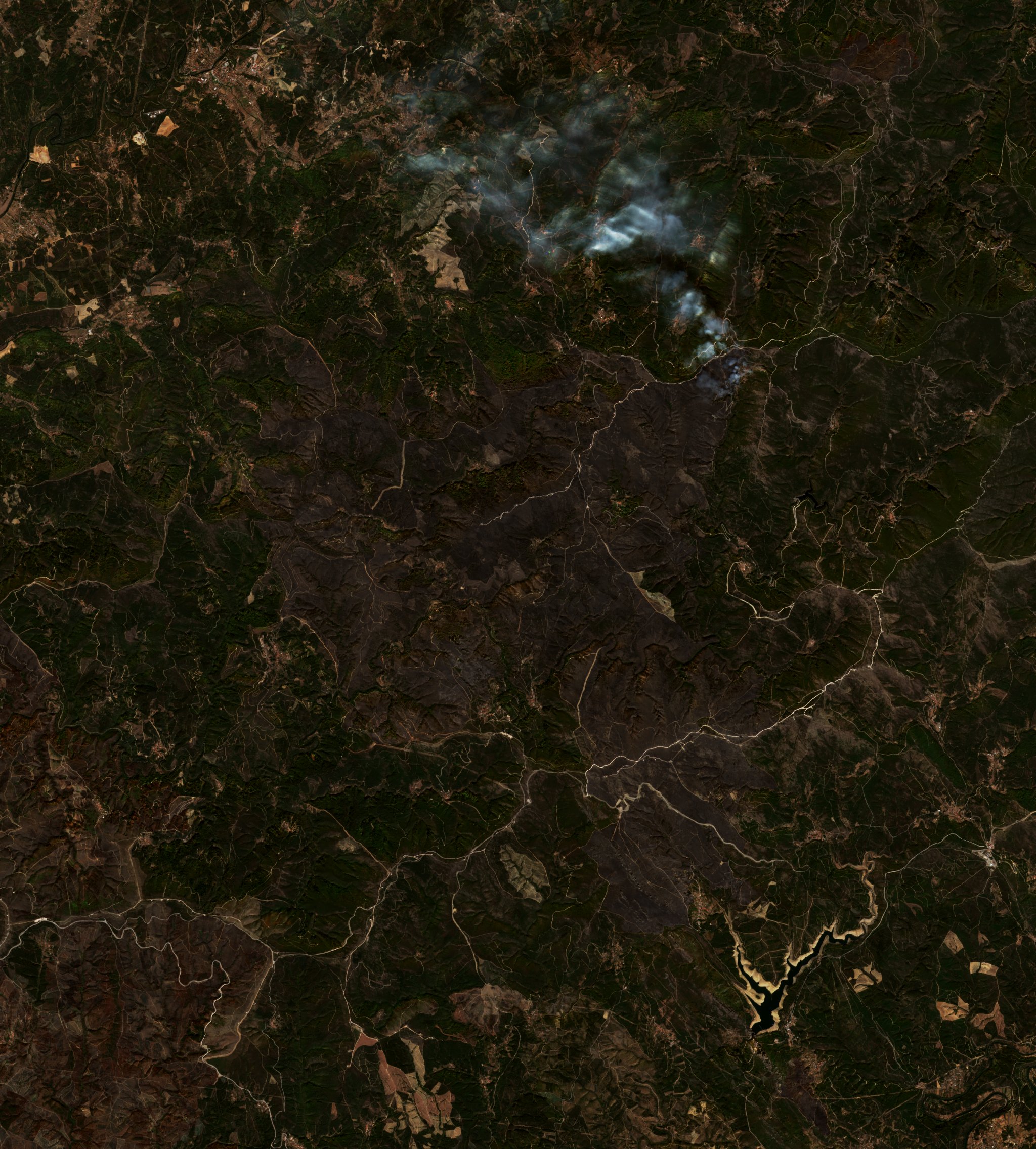 The burned area in 2017-ben