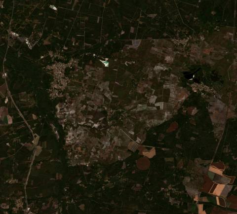 Satellite view near Belin-Béliet, France
