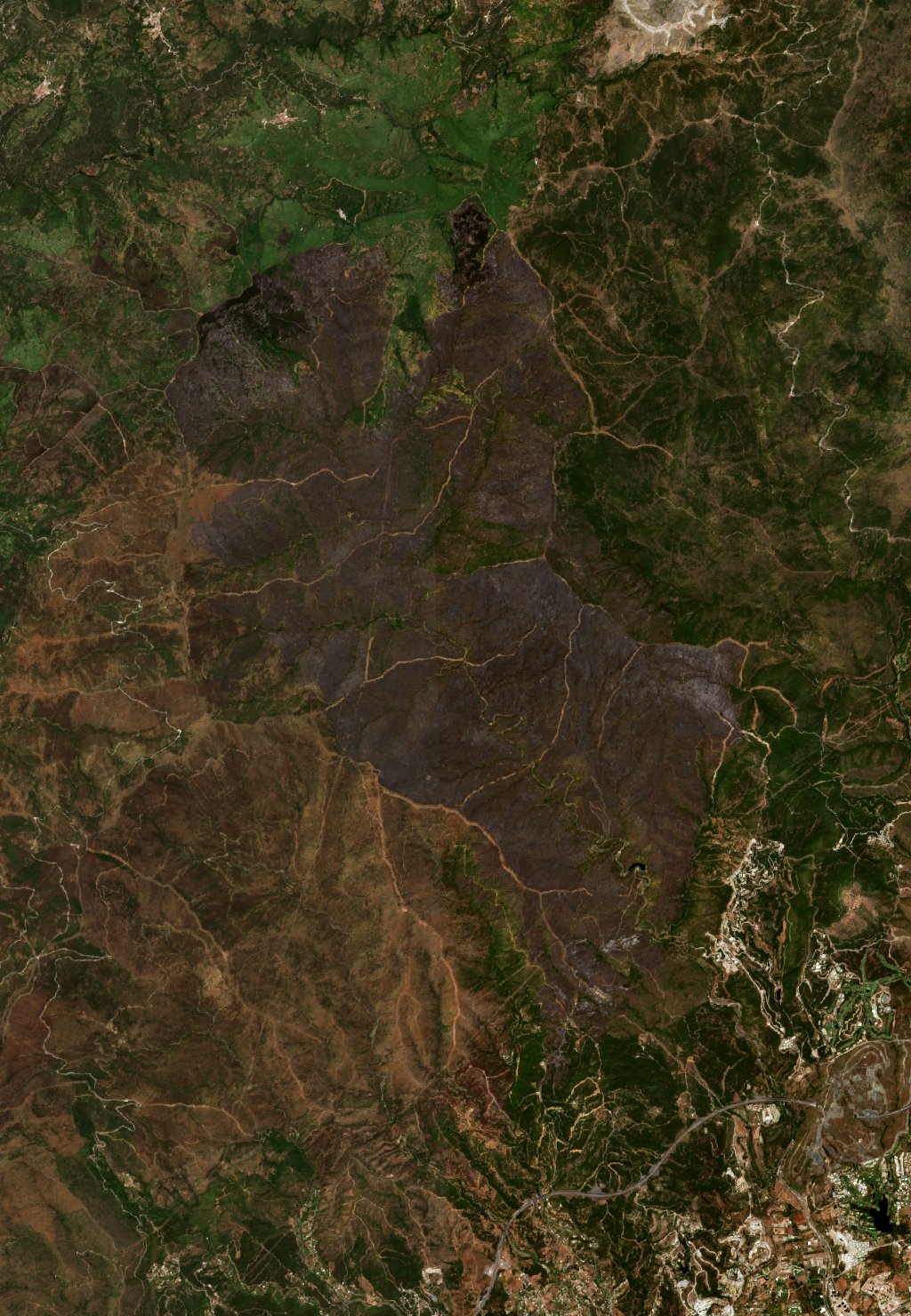 The burned area in 2022-ben