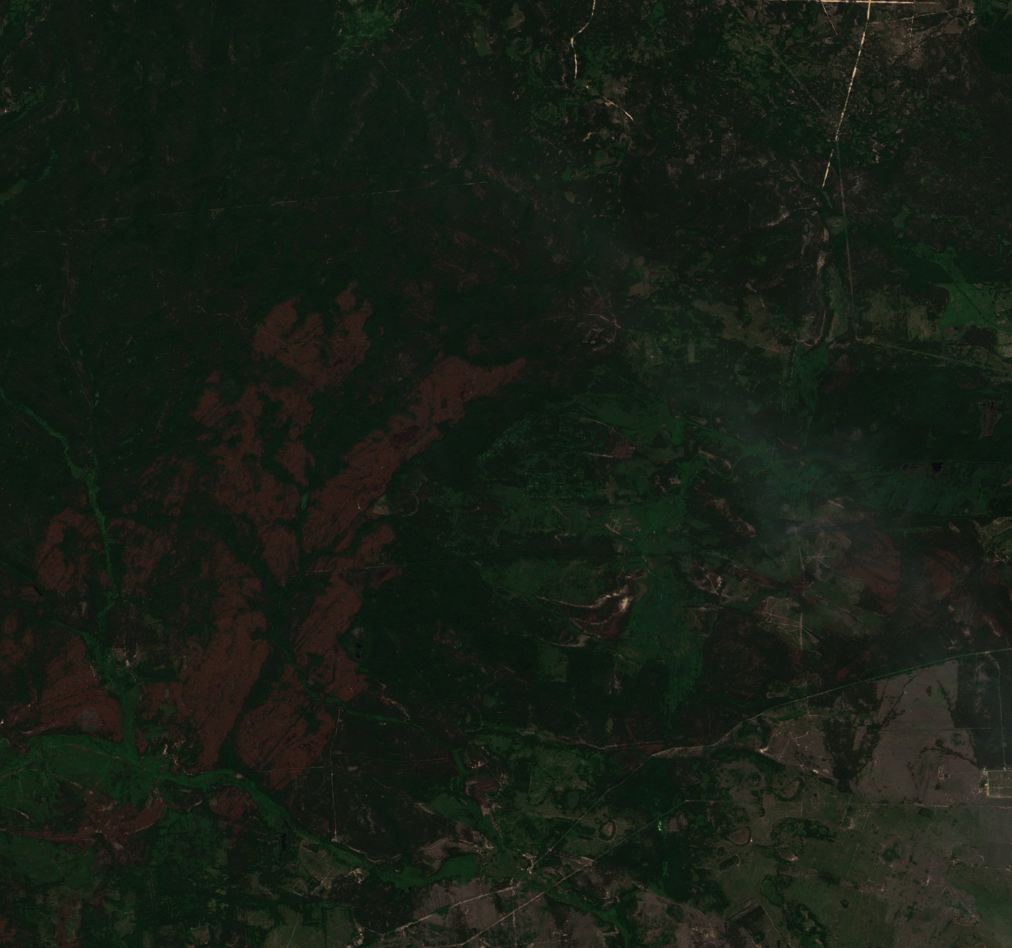 The burned area in 2020-ben