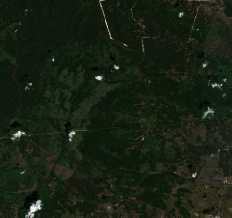 Satellite view near Chornobyl, Ukraine