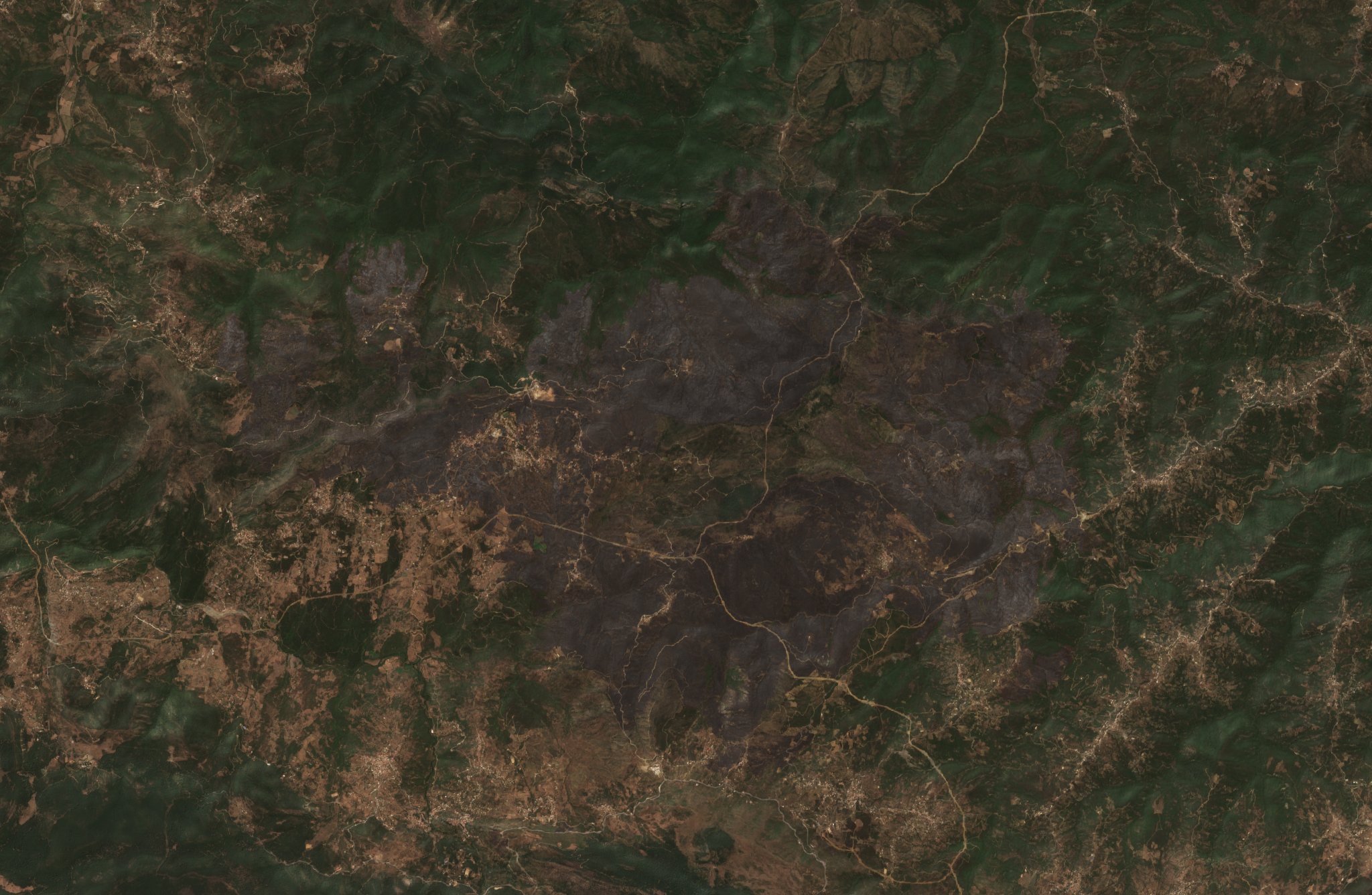 The burned area in 2021-ben