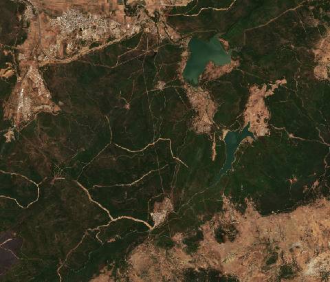 Satellite view near El Tarf, Algeria