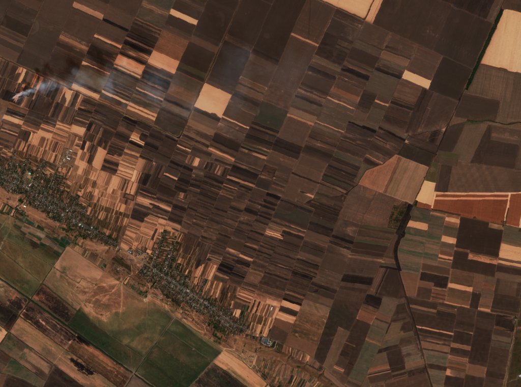 The burned area in 2019-ben