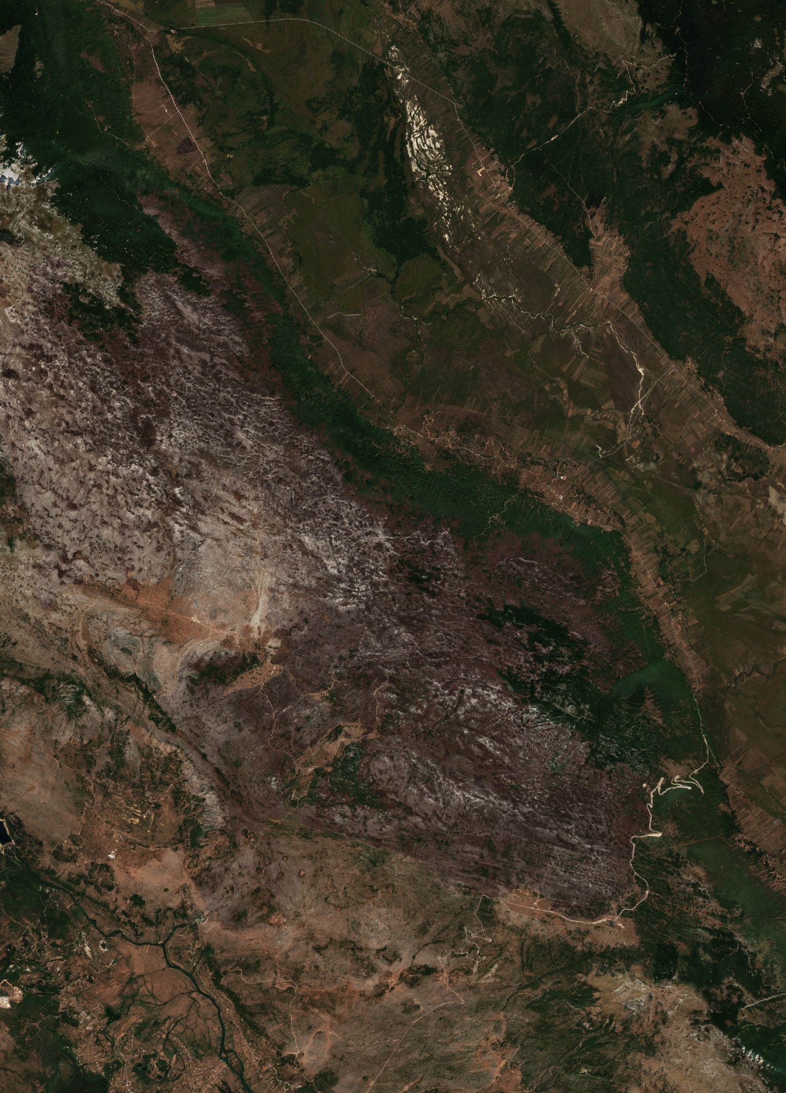 The burned area in 2017-ben