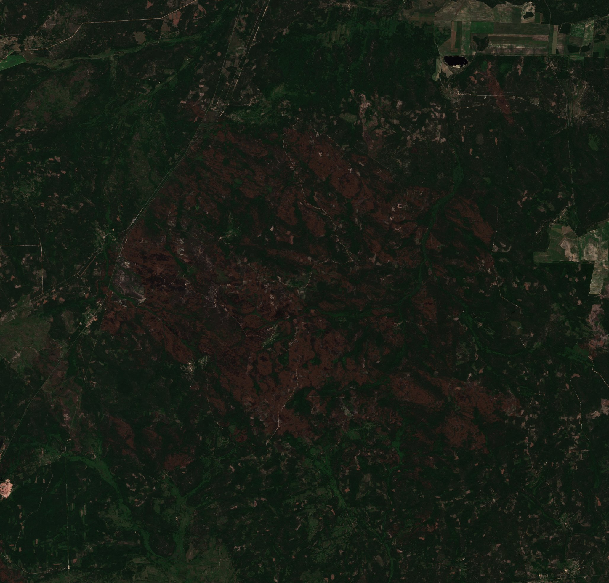 The burned area in 2020-ben