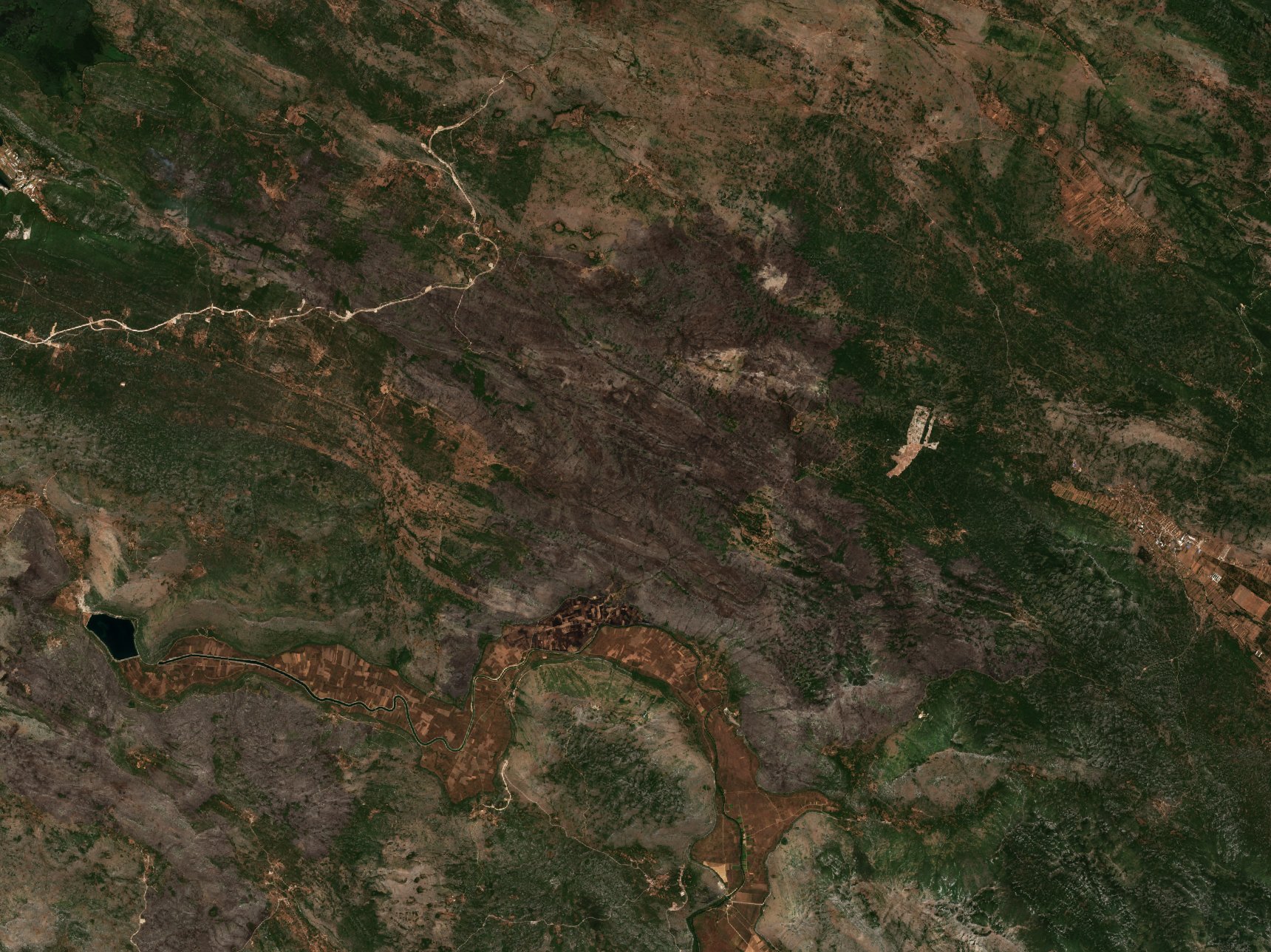The burned area in 2021-ben