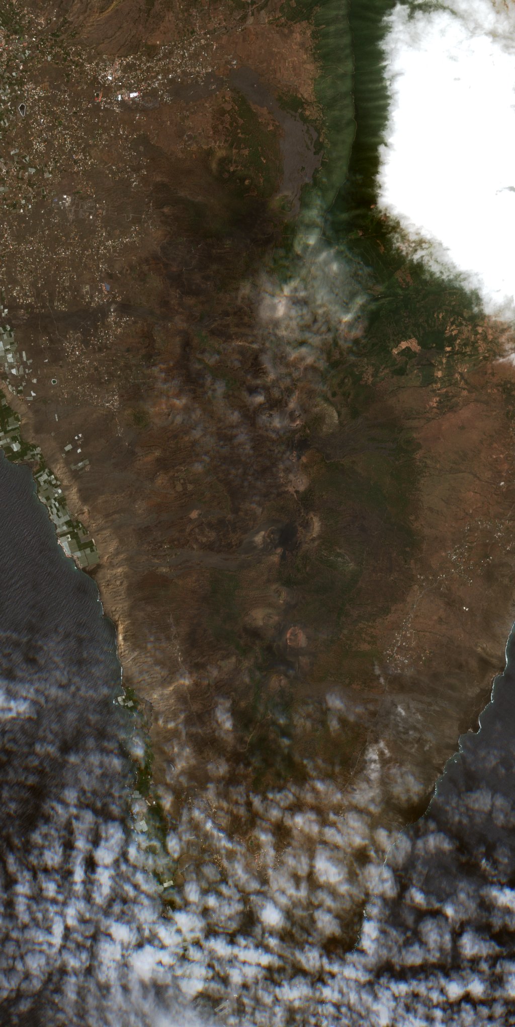 The burned area in 2016-ben