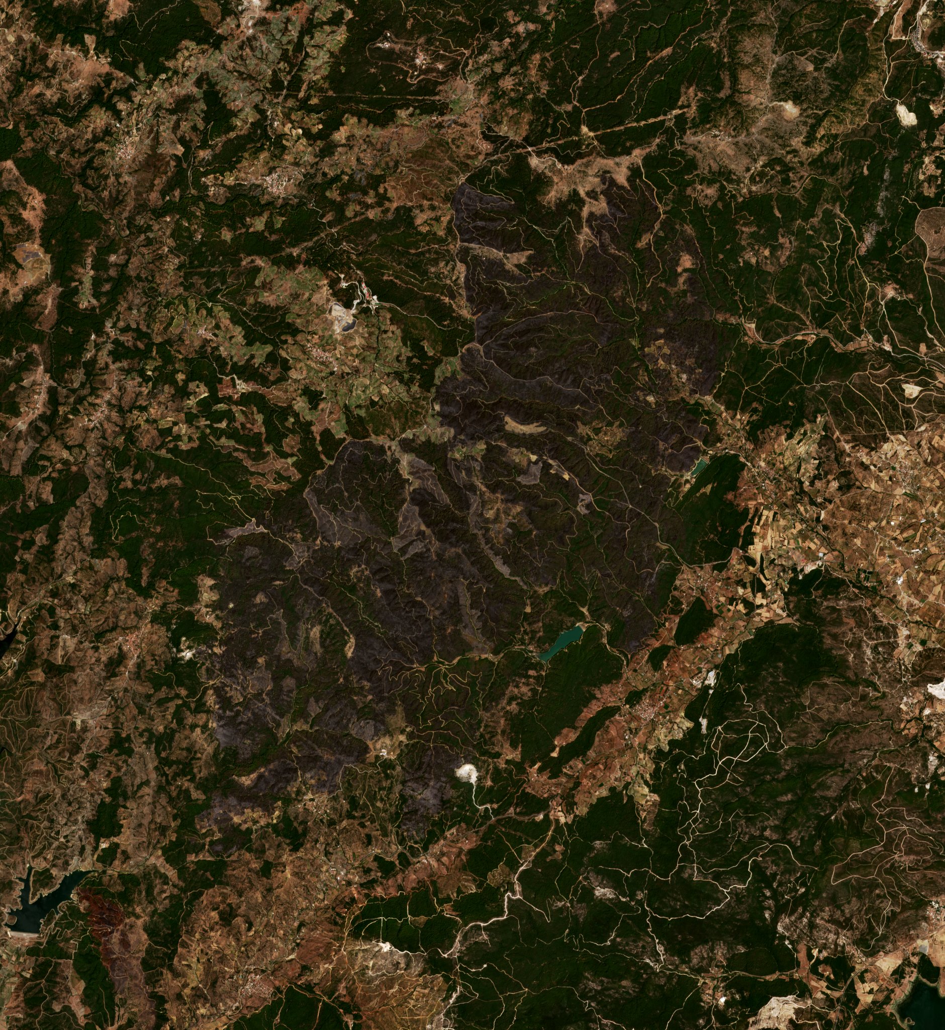 The burned area in 2019-ben