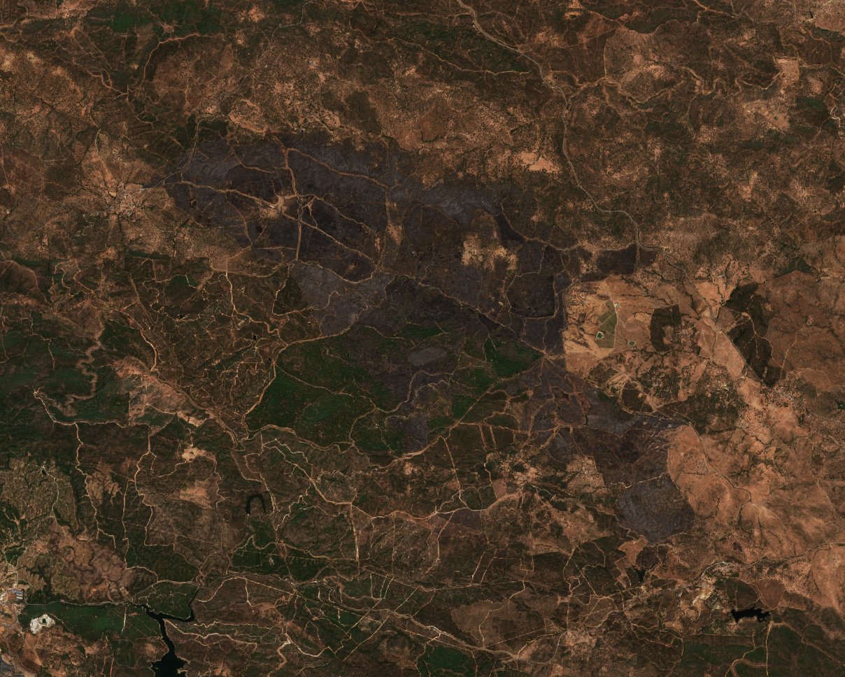 The burned area in 2017-ben