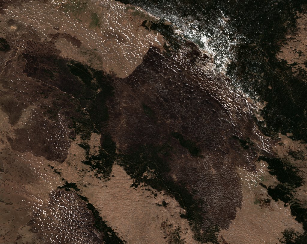 The burned area in 2020-ben