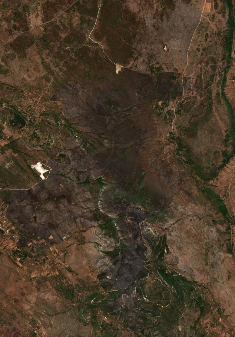 The burned area in 2017-ben