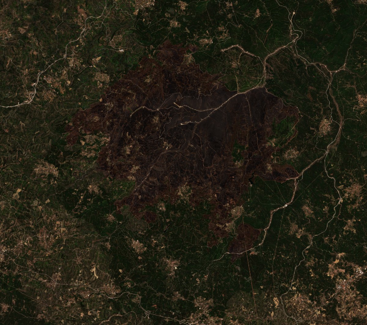 The burned area in 2020-ben