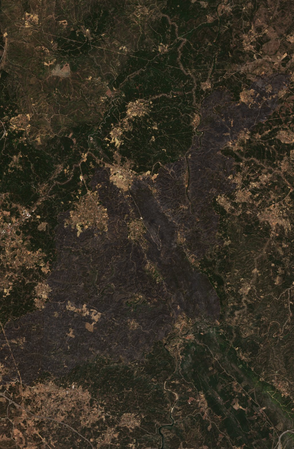 The burned area in 2023-ben