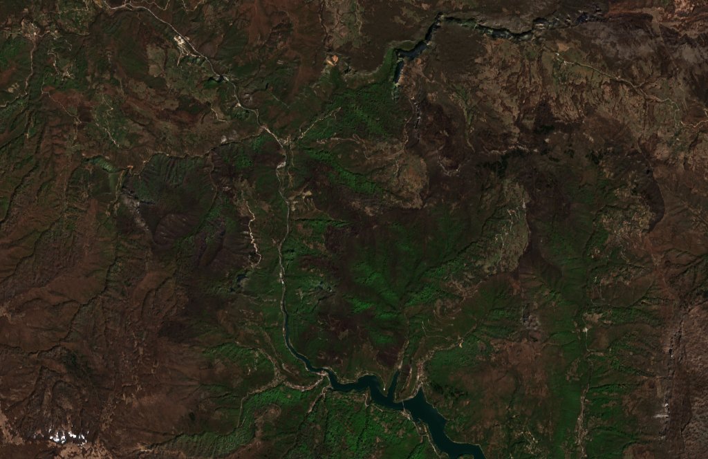 The burned area in 2020-ben