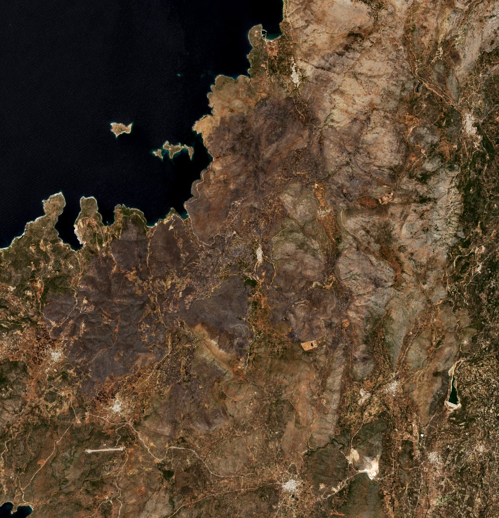 The burned area in 2016-ben