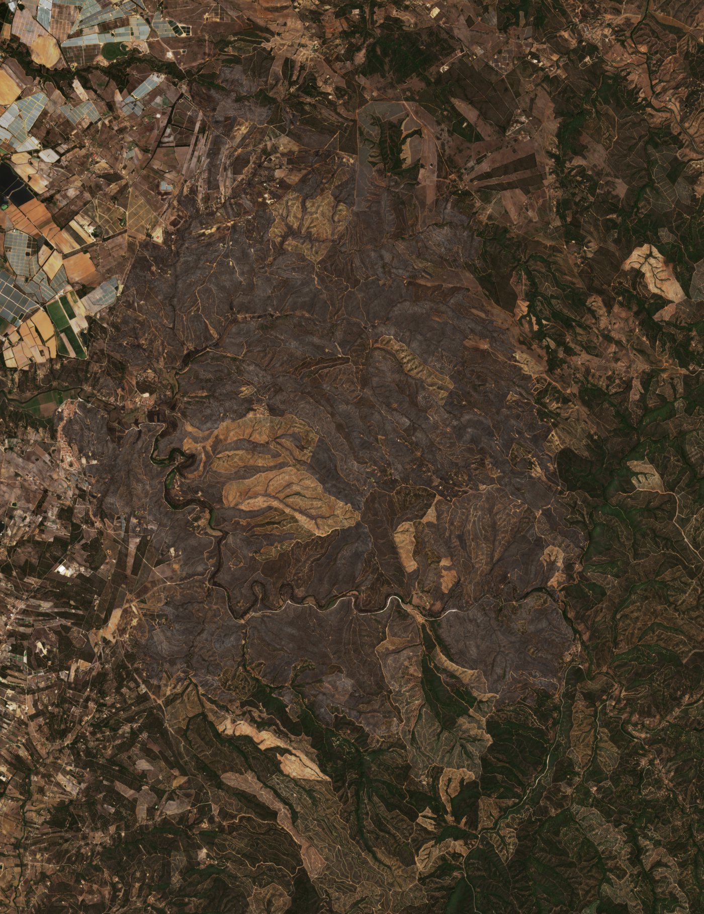 The burned area in 2023-ben
