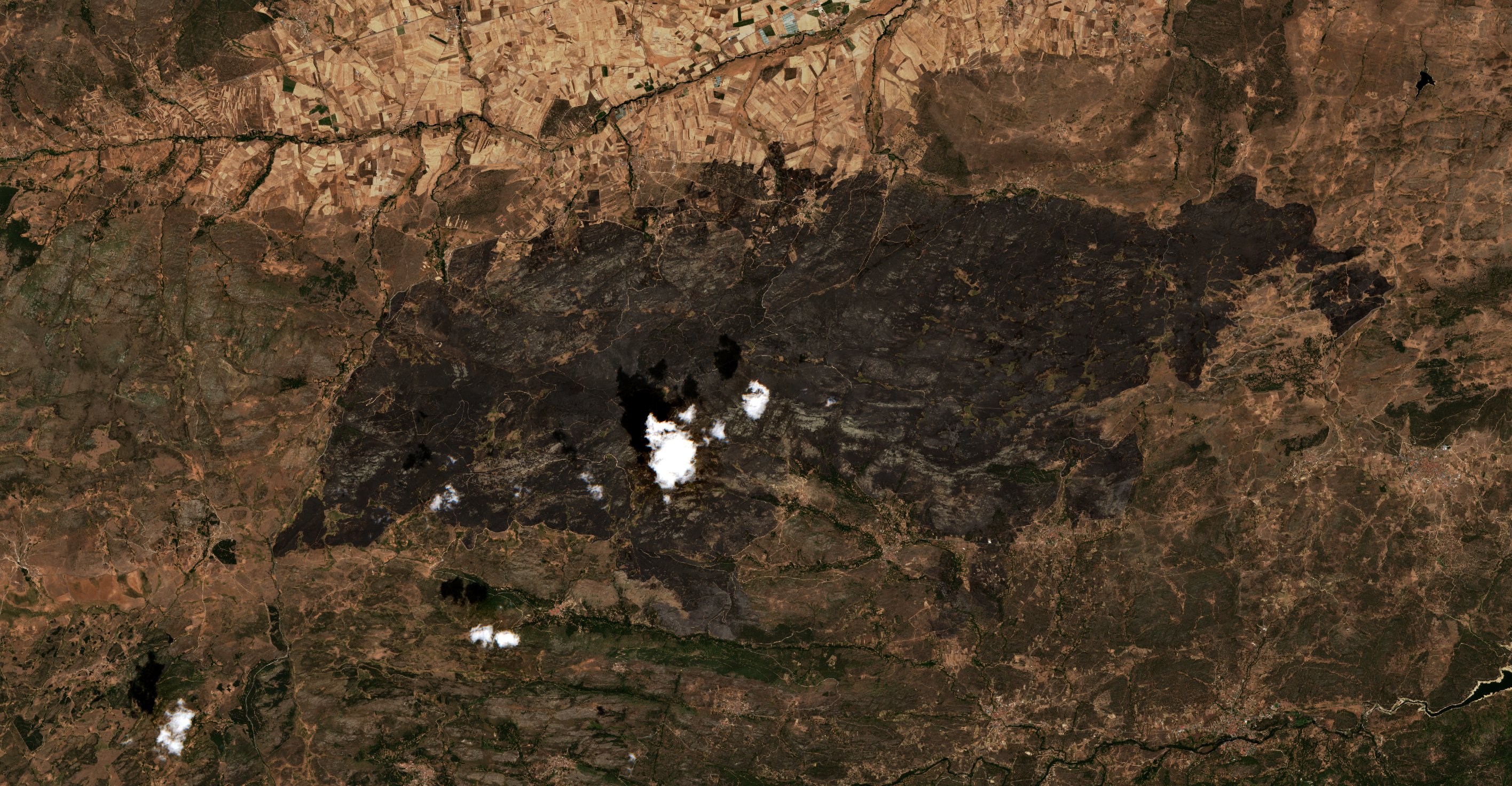 The burned area in 2021-ben