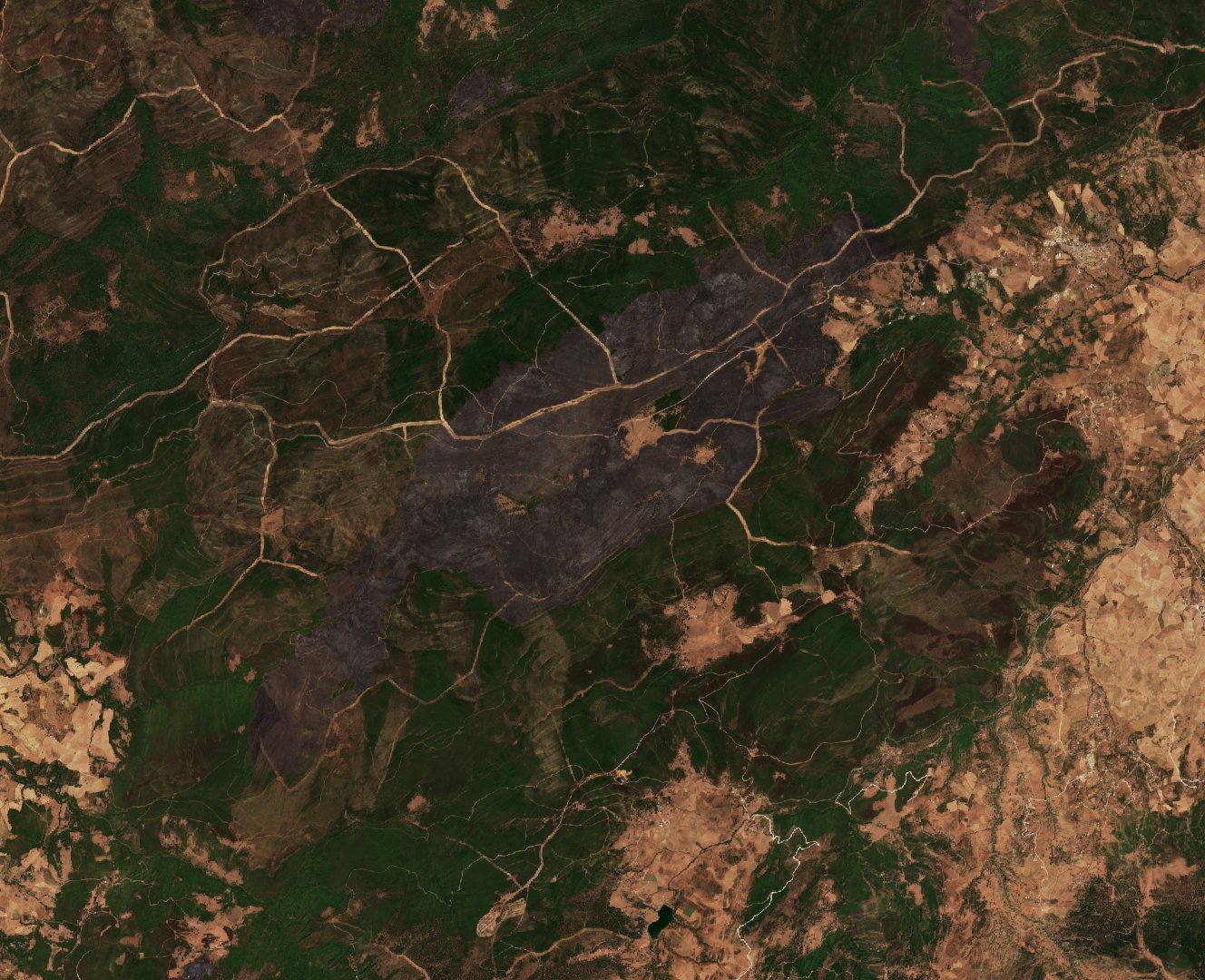 The burned area in 2022-ben